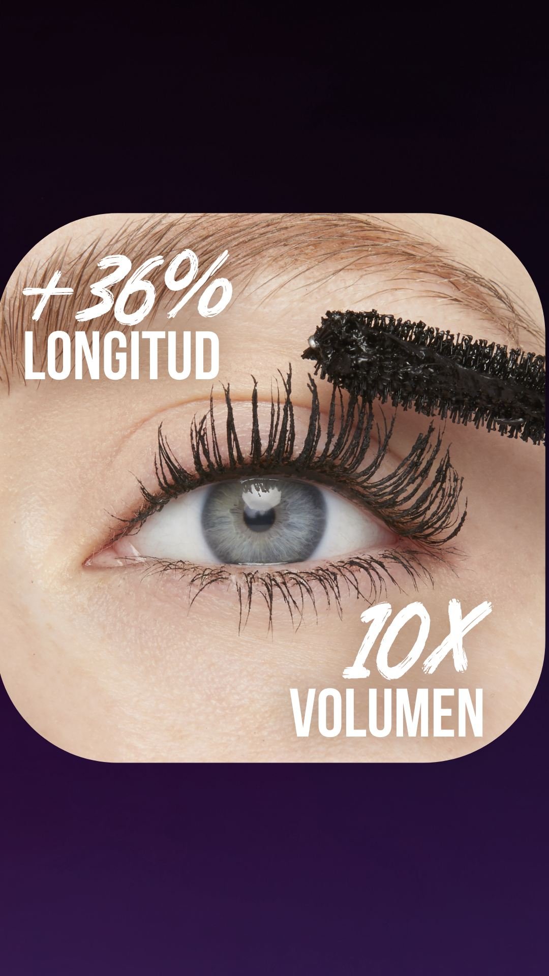MNY LENGTH VOLUME MAGGIE LUDWIG