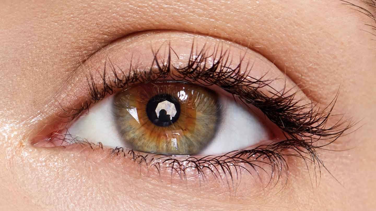 Como hidratar las pestanas para una mirada de impacto1
