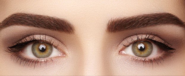 tipos de cejas 2